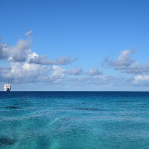 免费的日本网站
